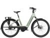 Trek Charter+ 4 N5 B 800 LS XL Lichen Green